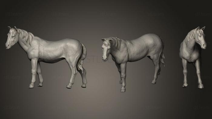 3D model Plastic Horse Toy (STL)